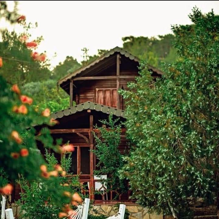 Hotel Olympos Talara By Arzum Kumluca Exterior foto