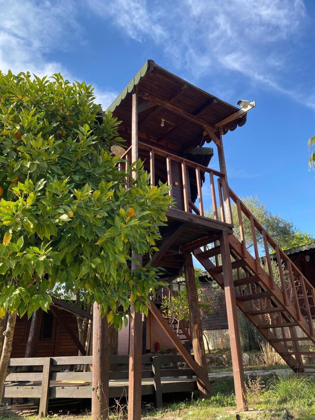 Hotel Olympos Talara By Arzum Kumluca Exterior foto